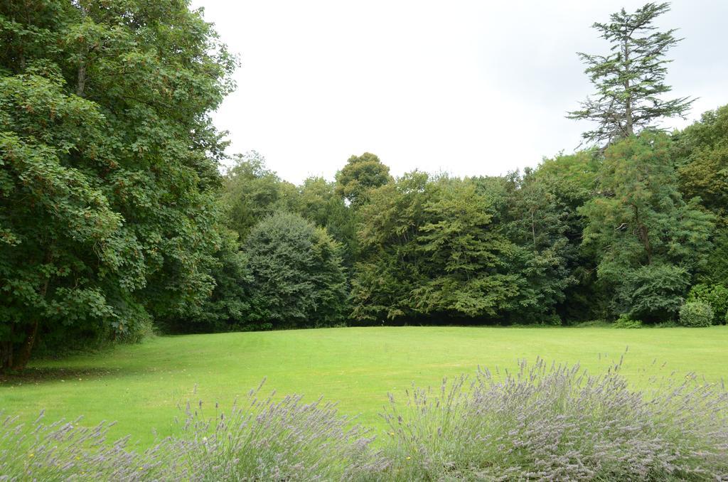 Les Mazeraies Maison D'Hotes Avec Spa Savonnières Zewnętrze zdjęcie
