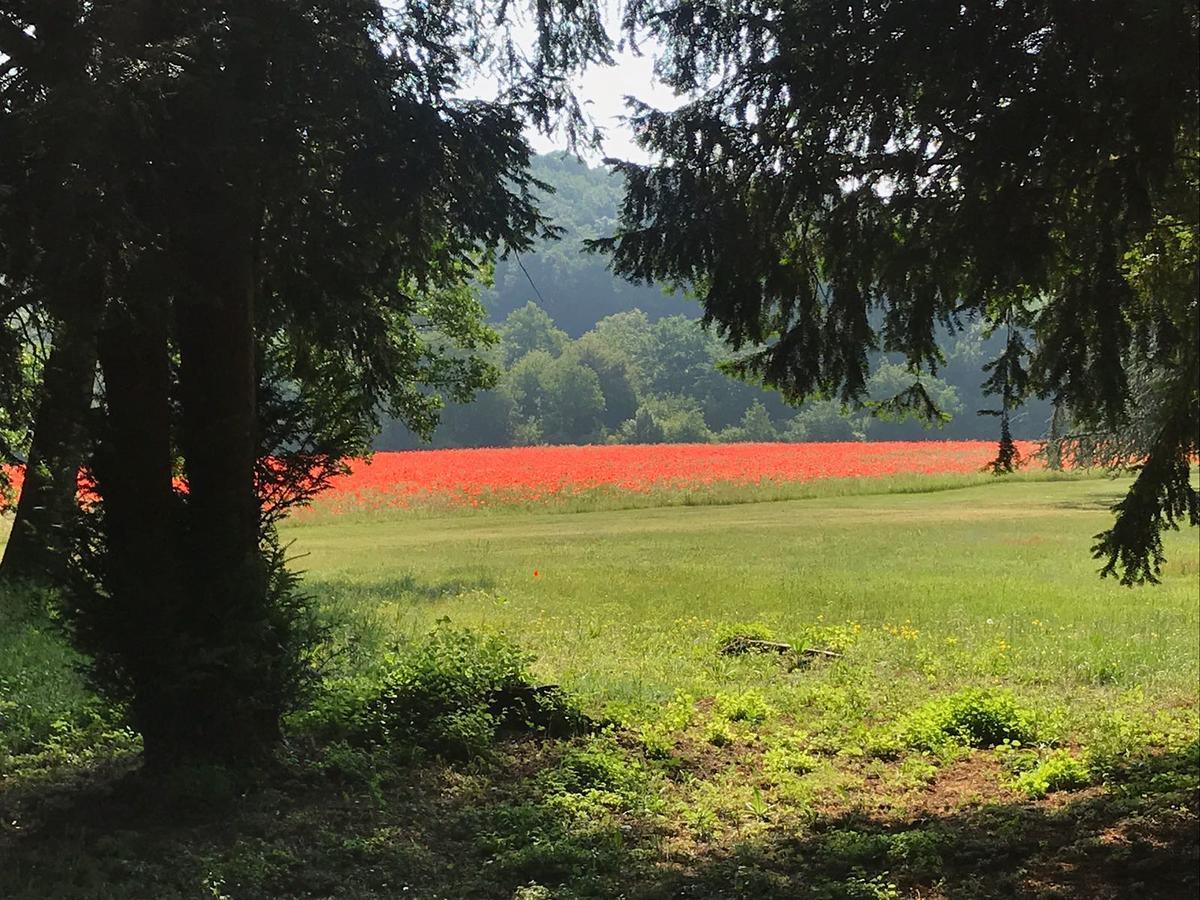 Les Mazeraies Maison D'Hotes Avec Spa Savonnières Zewnętrze zdjęcie